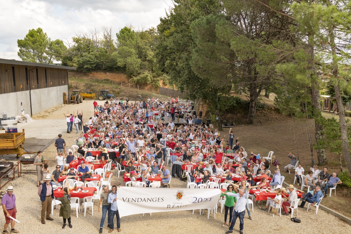 Journée Vendanges au Château Réaut