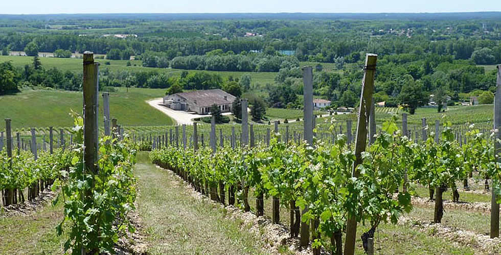 Chateau Réaut
