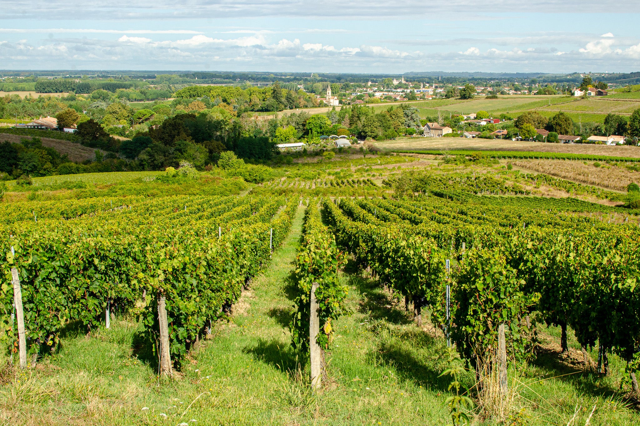Château Peybrun - Cadillac Côtes de Bordeaux