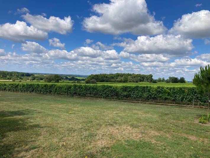 Maison d’hôtes « Château Haut Cazevert » avec piscine, Wi-Fi et climatisation