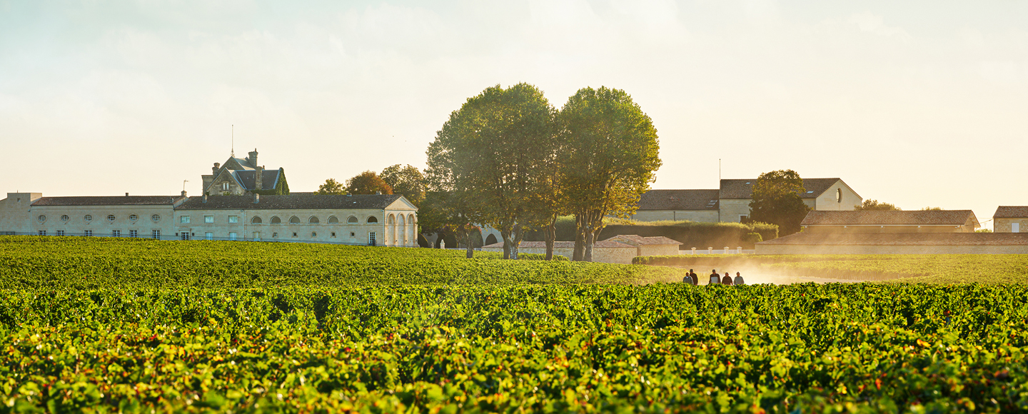 Château Mouton Rothschild in Pauillac, Médoc