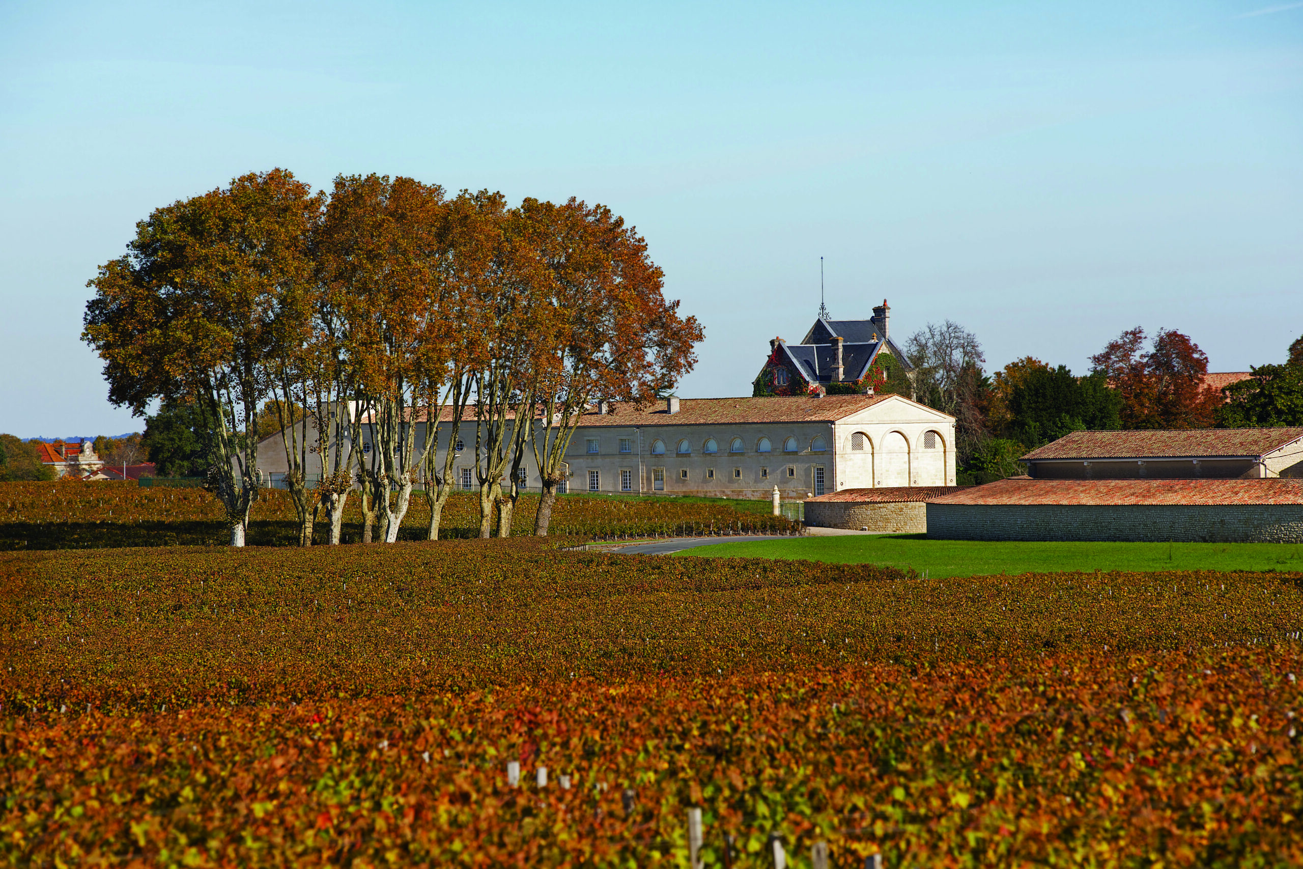Château Mouton Rothschild - Pauillac