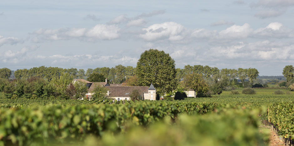 Château Bourgneuf — photo 7