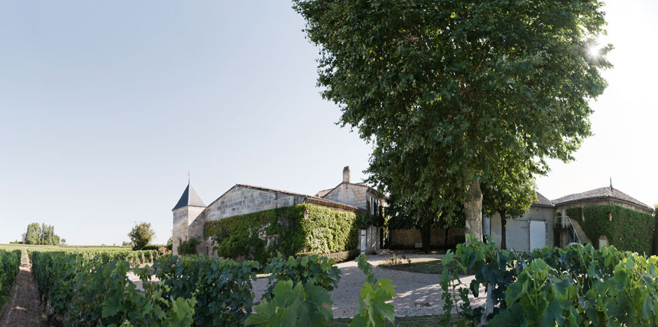 Château Bourgneuf — photo 8