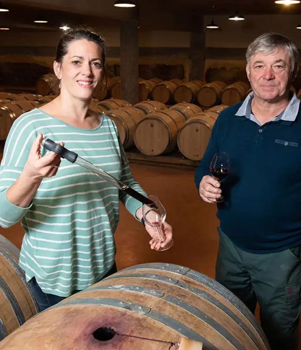 Domaine viticole & Vente de vin près de Bordeaux