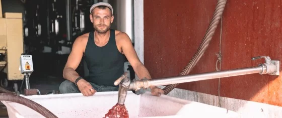 Vincent-baigneau