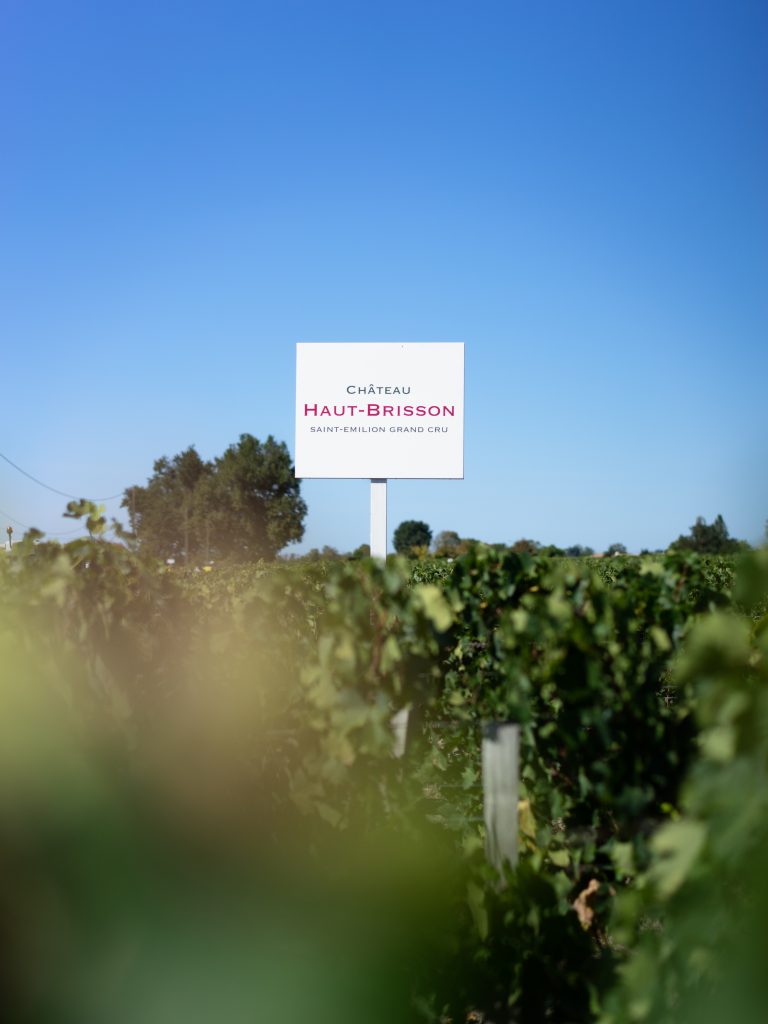 Château Haut Brisson — photo 4