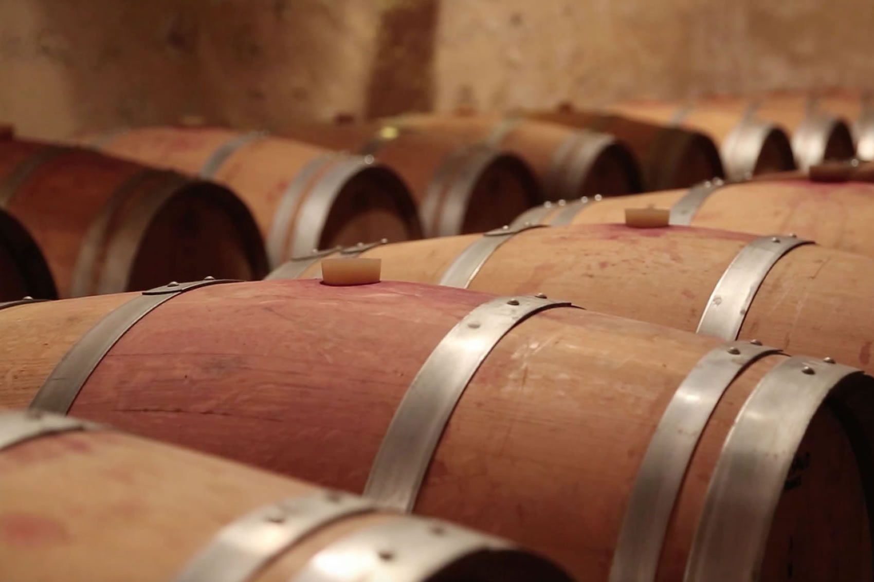 Château la Tour Figeac — photo 7
