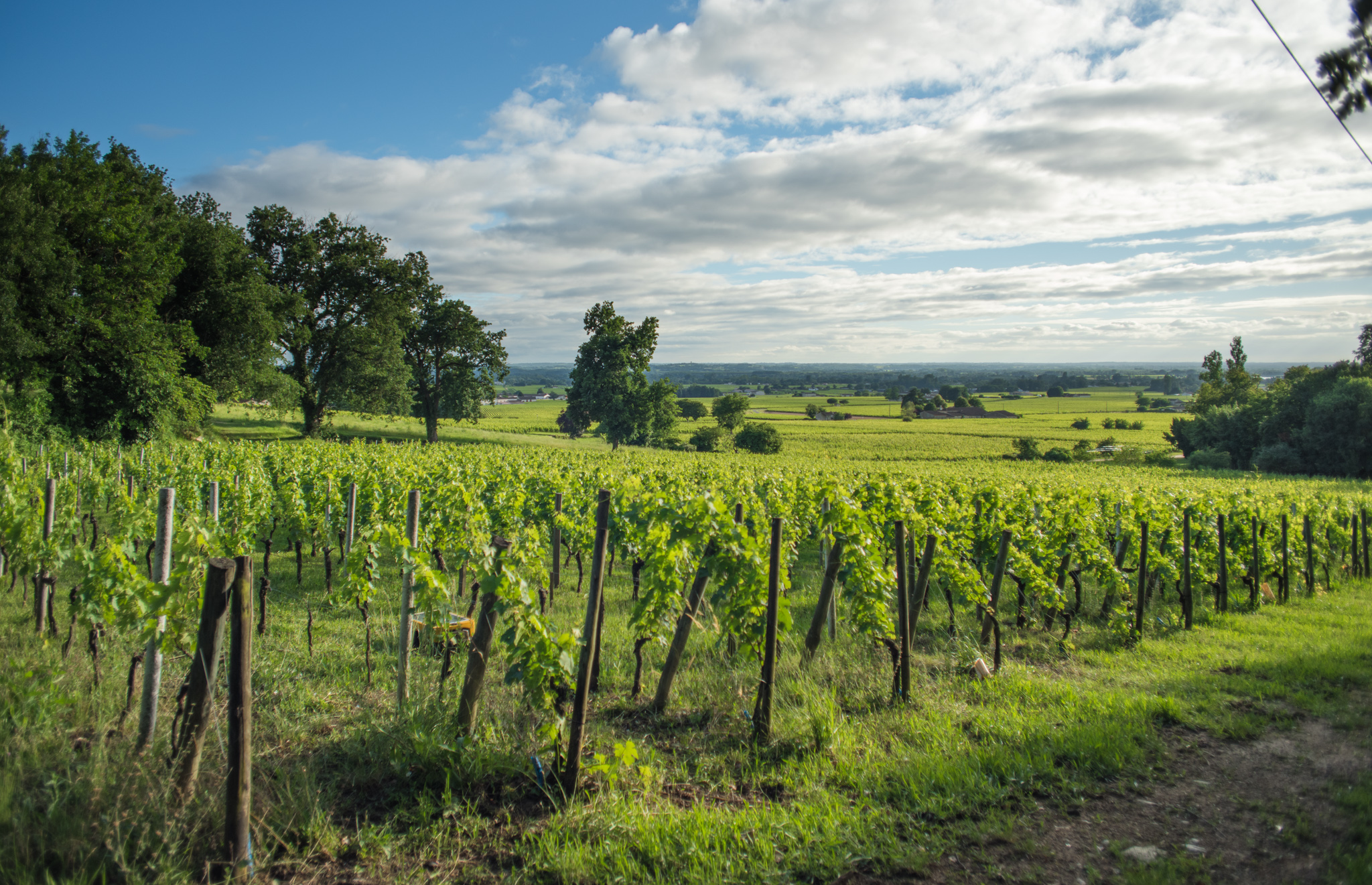 Château Coutet (Saint-Émilion) — photo 6