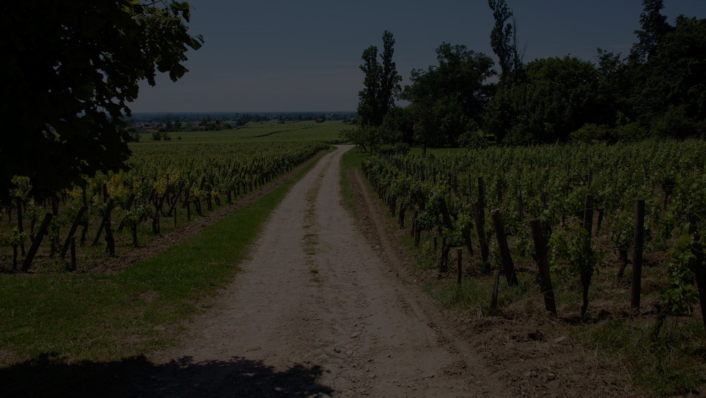 Château Coutet (Saint-Émilion) — photo 3