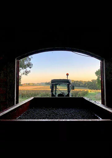 Domaine Duplessis — photo 4