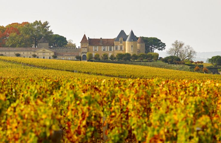 Domaine de Roussanne - Sauternes