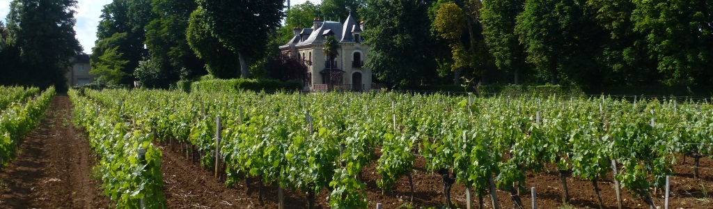 Château de Musset — photo 3