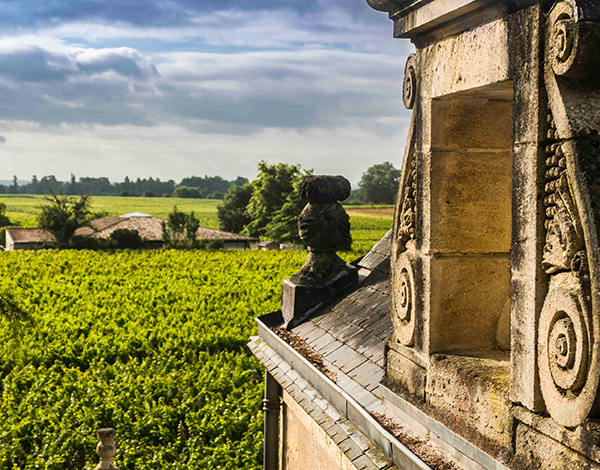 Château la Haye — photo 3