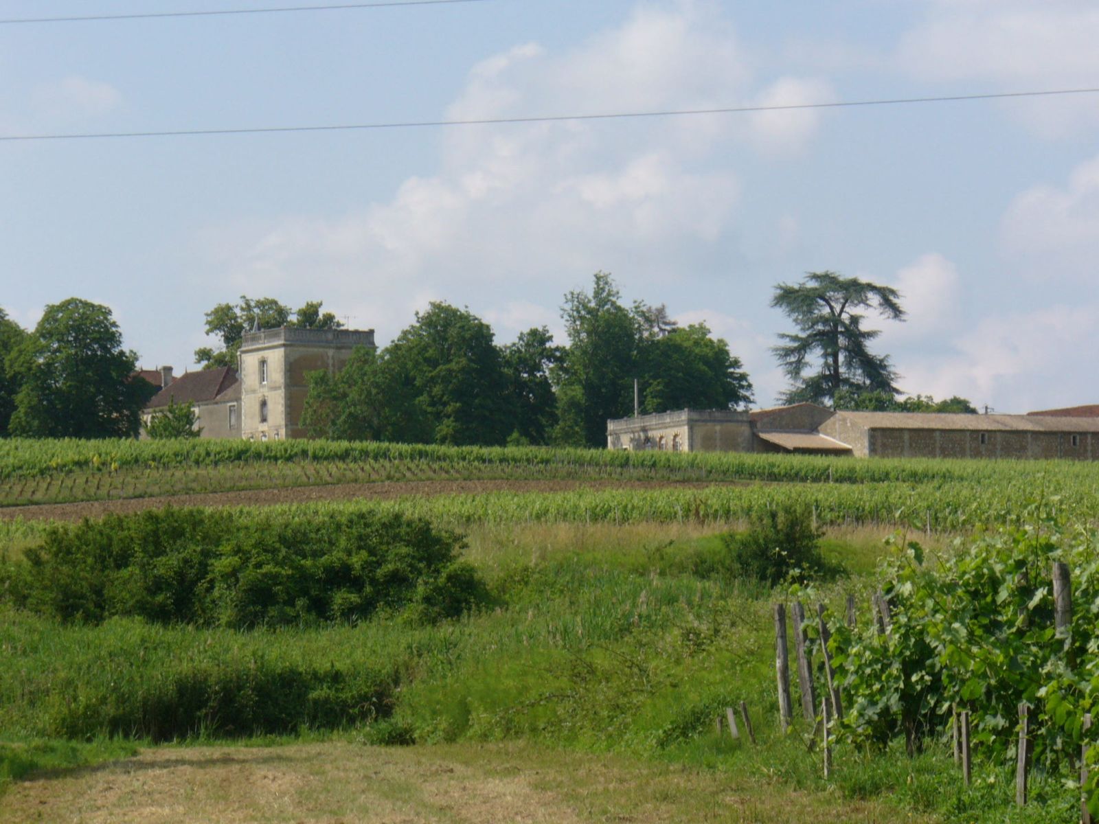 Château Tasta — photo 8