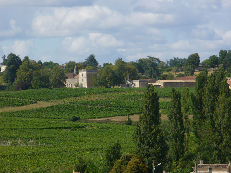 Château Tasta — photo 7