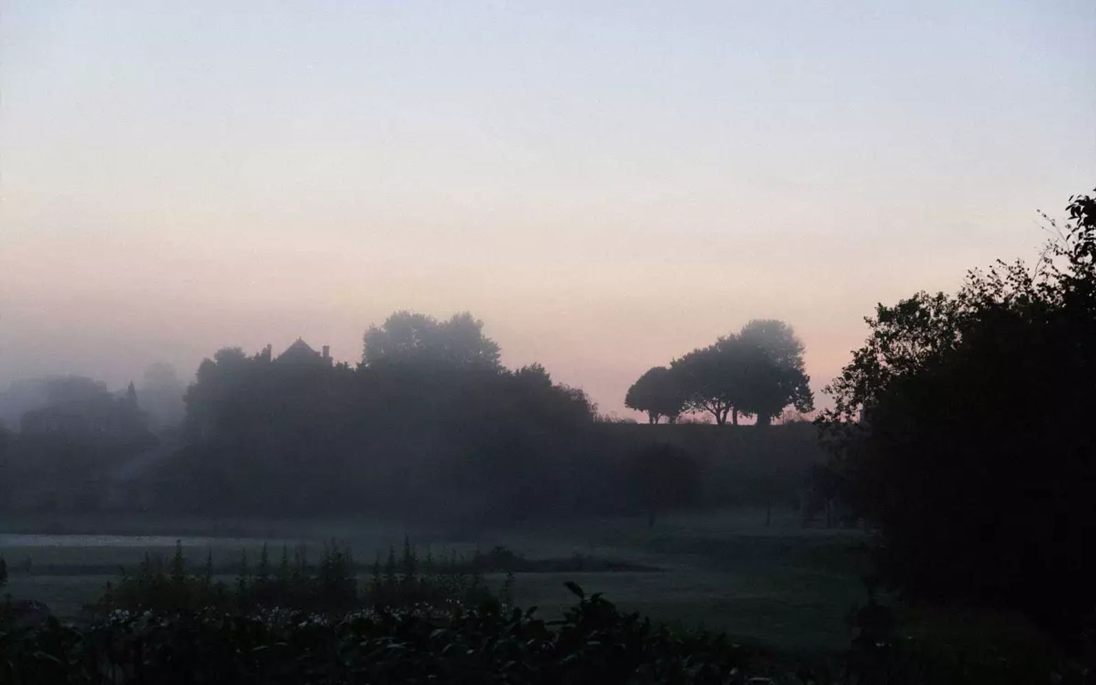 Château Lafite Rothschild — photo 7