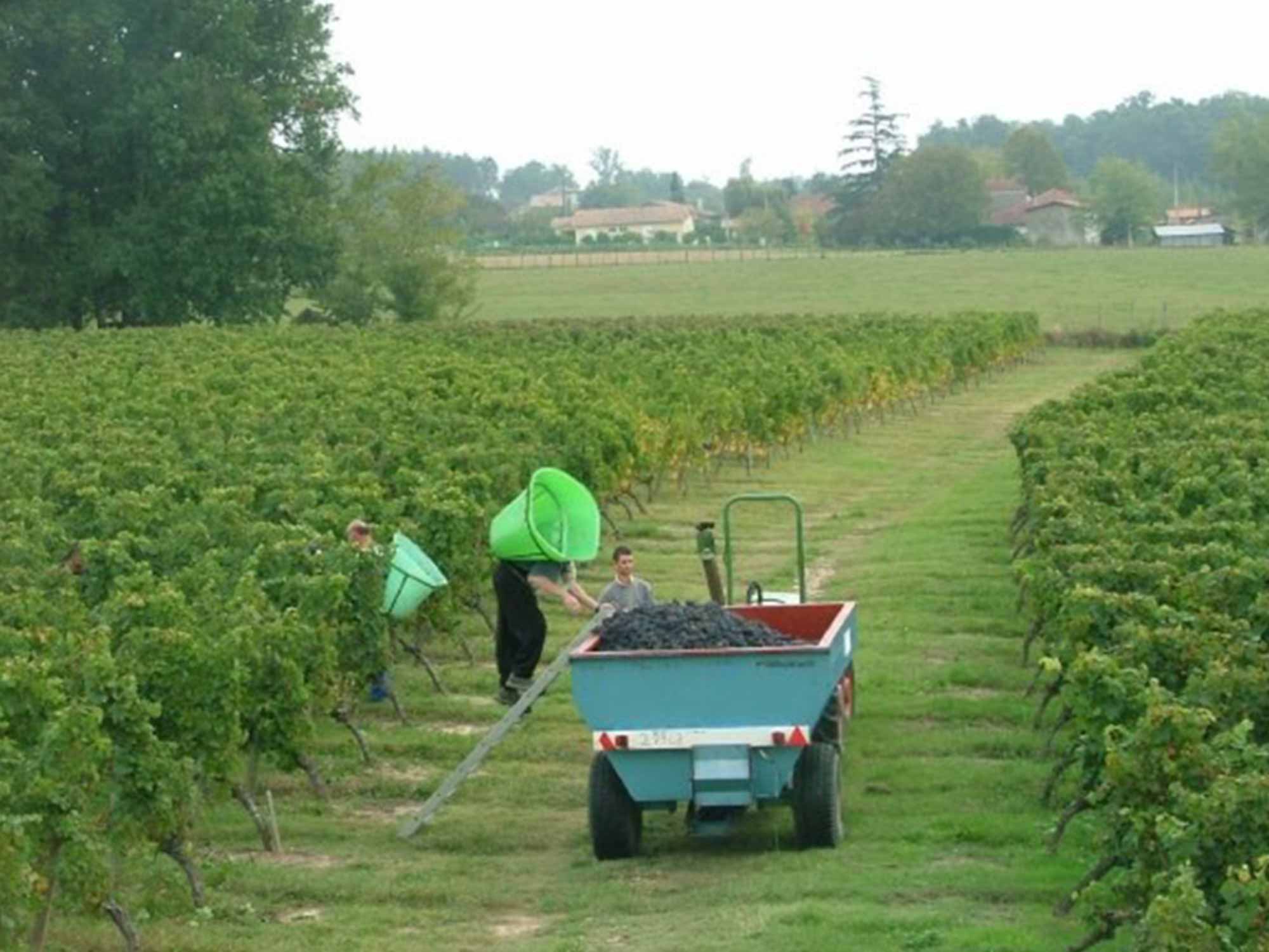 Domaine de Cabirol — photo 2