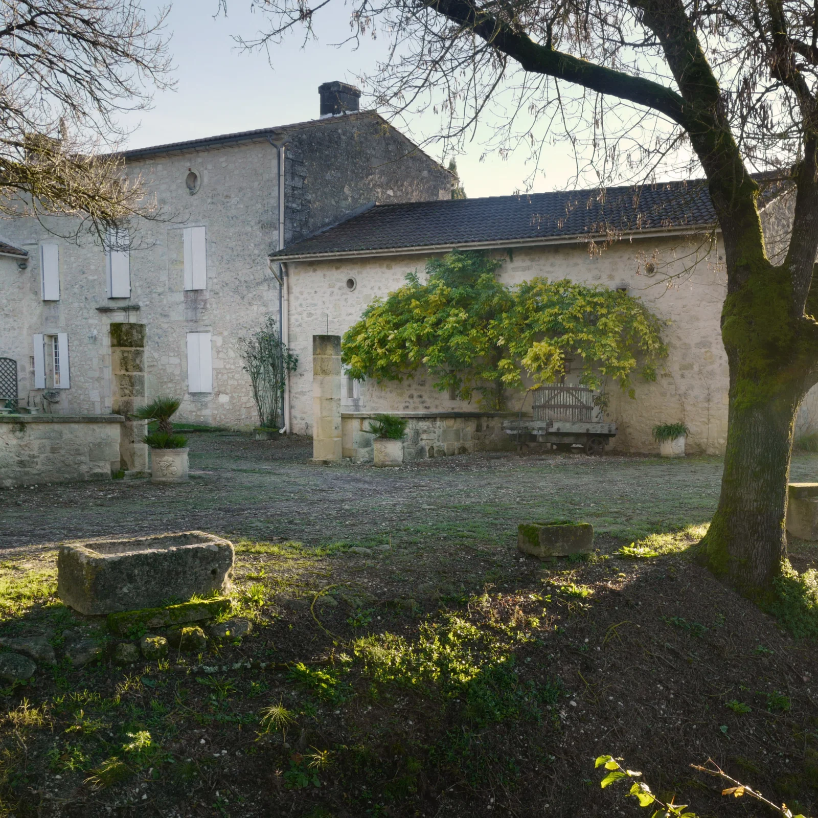 Château Farguet — photo 2