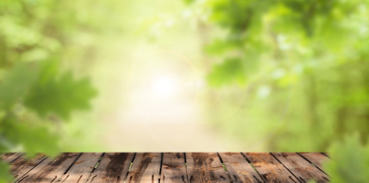 Untitled design (13).png