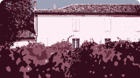 estate photo