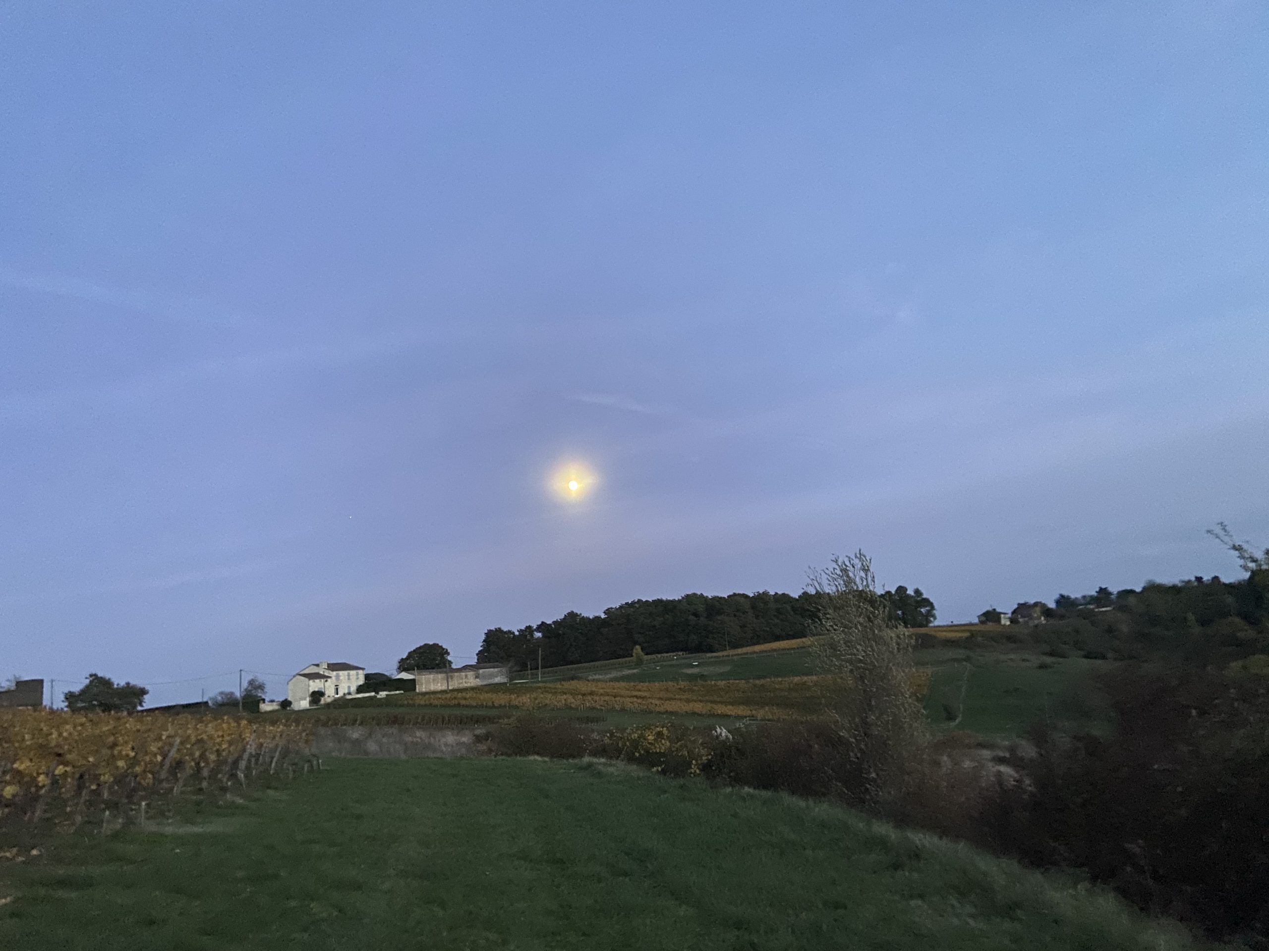 Château la Grezolle — photo 4