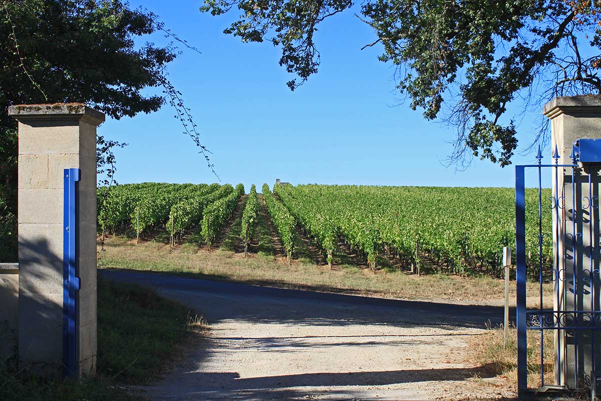 Château la Grezolle — photo 2