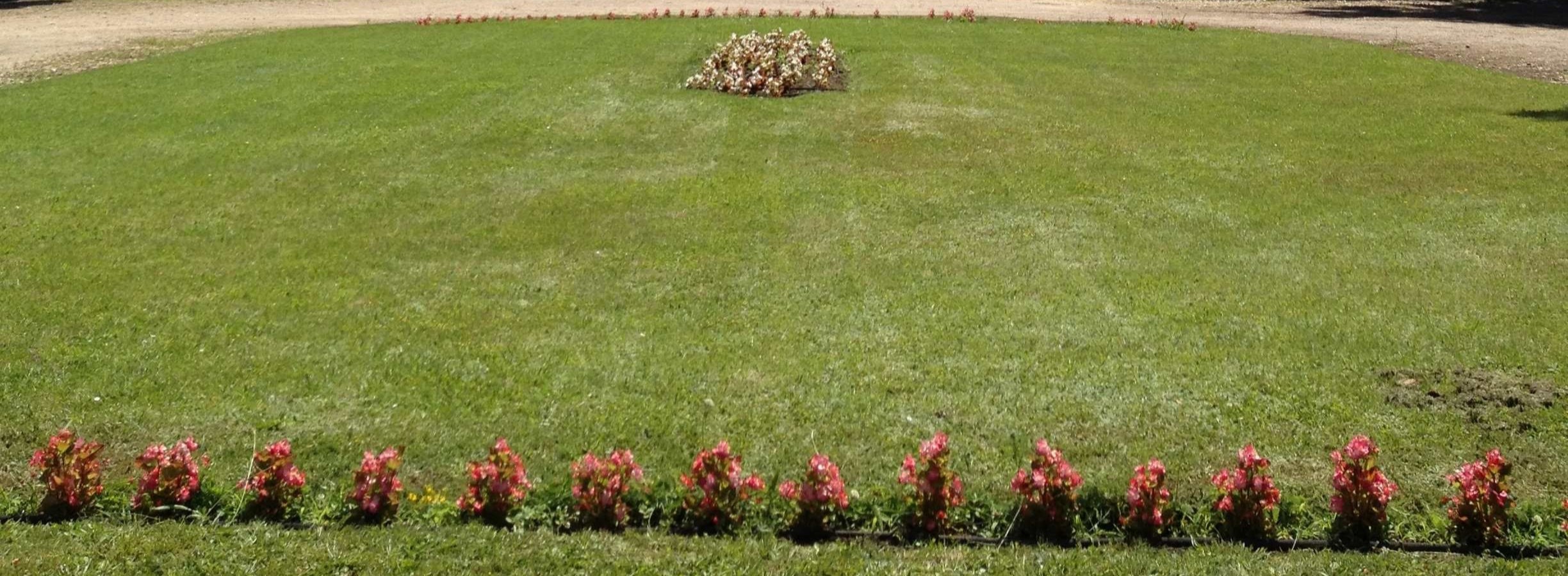 massif de fleurs le chateau de mouchac