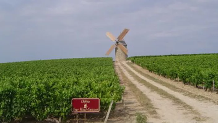 Château Tour Haut Caussan — photo 11