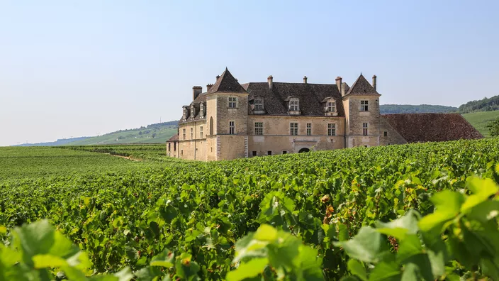 Château Margaux - Médoc