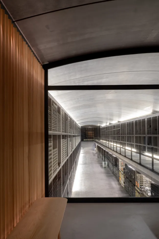 A modern hallway with sleek surfaces, wooden walls, and large windows, creating a minimalist and inviting atmosphere.