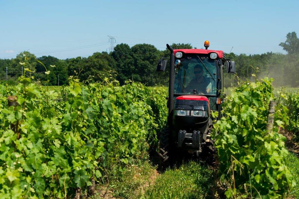 Viticulture - tracteur