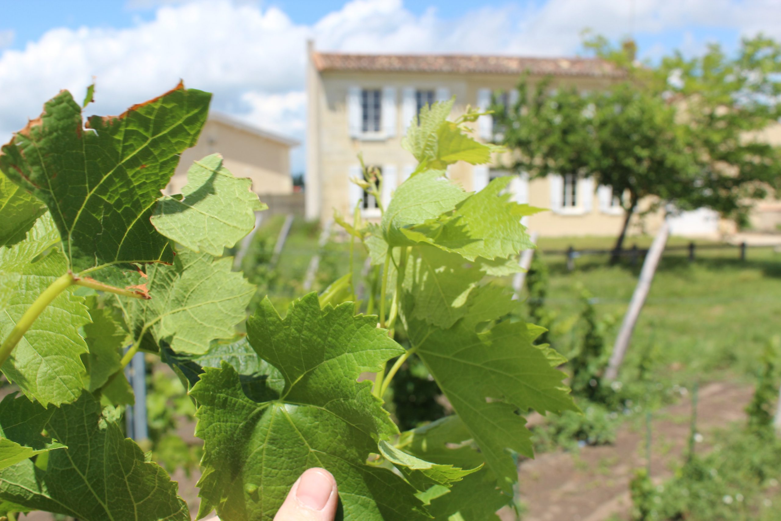 Chateau Lagrave