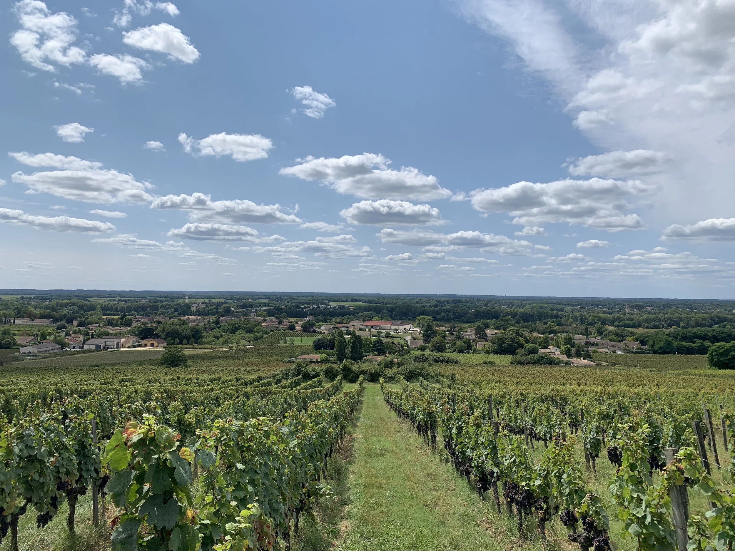 Château Petit Guillot — photo 10