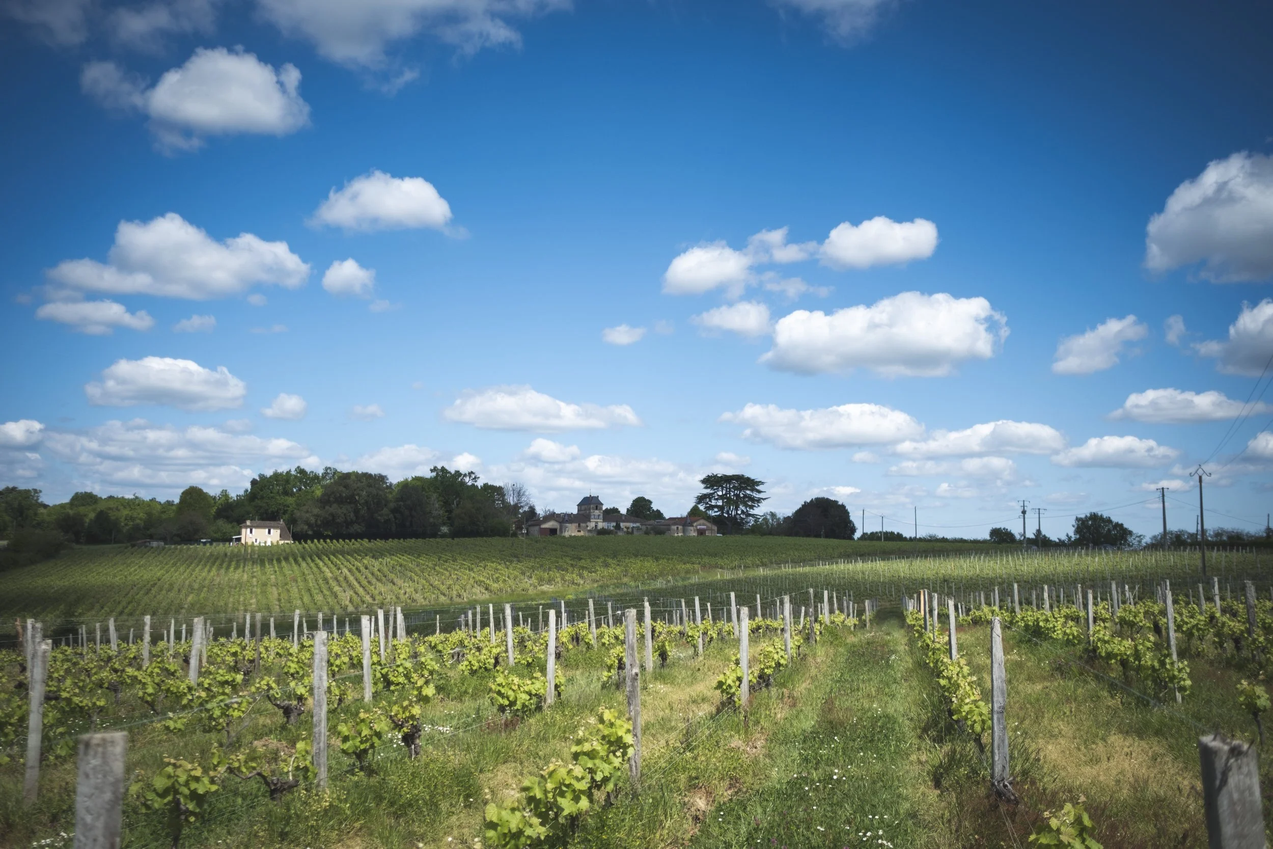 Château Petit Guillot — photo principale
