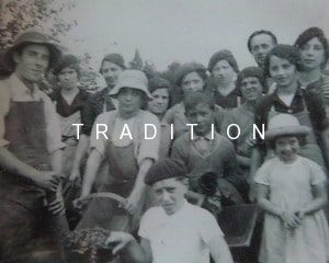 Un savoir-faire viticole familial