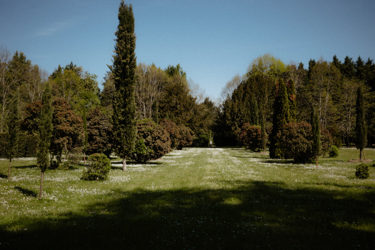 Du père au fils : La succession florale du Domaine de Perrotin - Domaine de Perrotin
