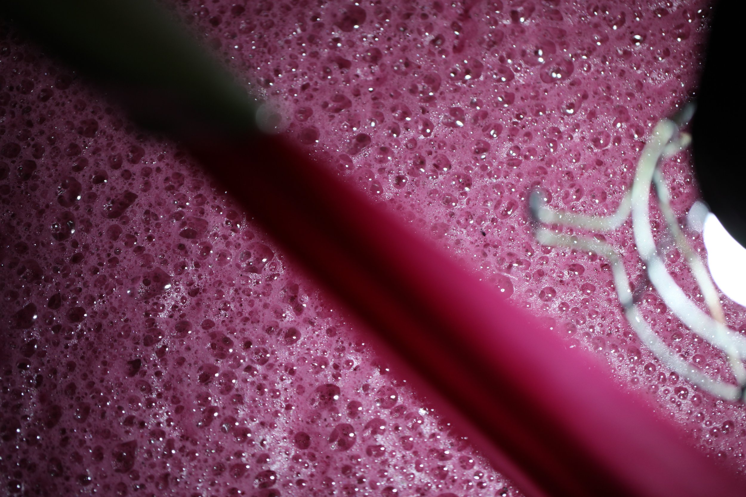 Remontage en cours dans une cuve au Château des Annereaux, illustrant le processus de vinification biologique.