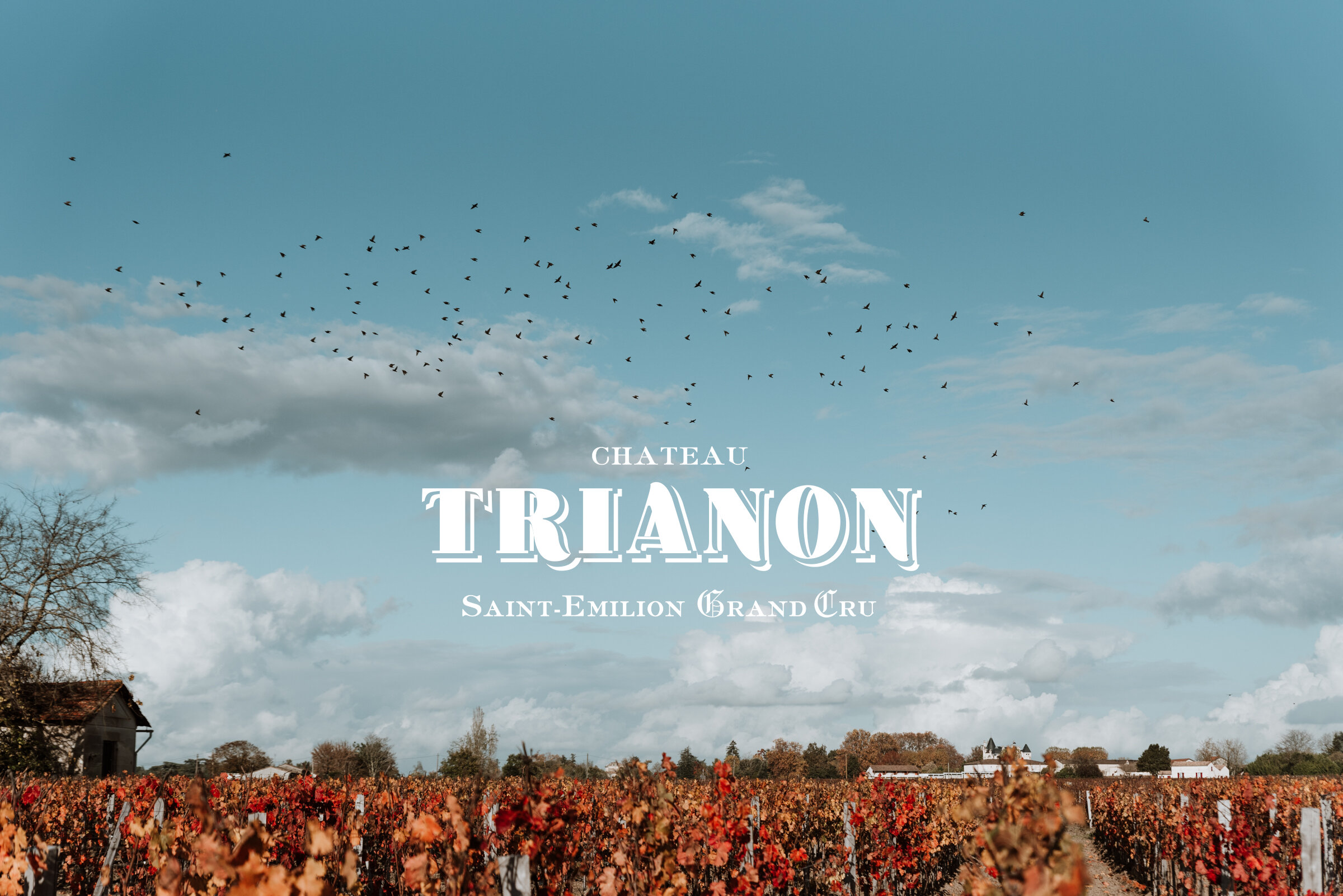 Château Trianon - Saint-Émilion Grand Cru