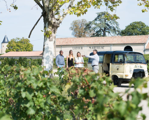 Château Latour-Martillac — photo 5