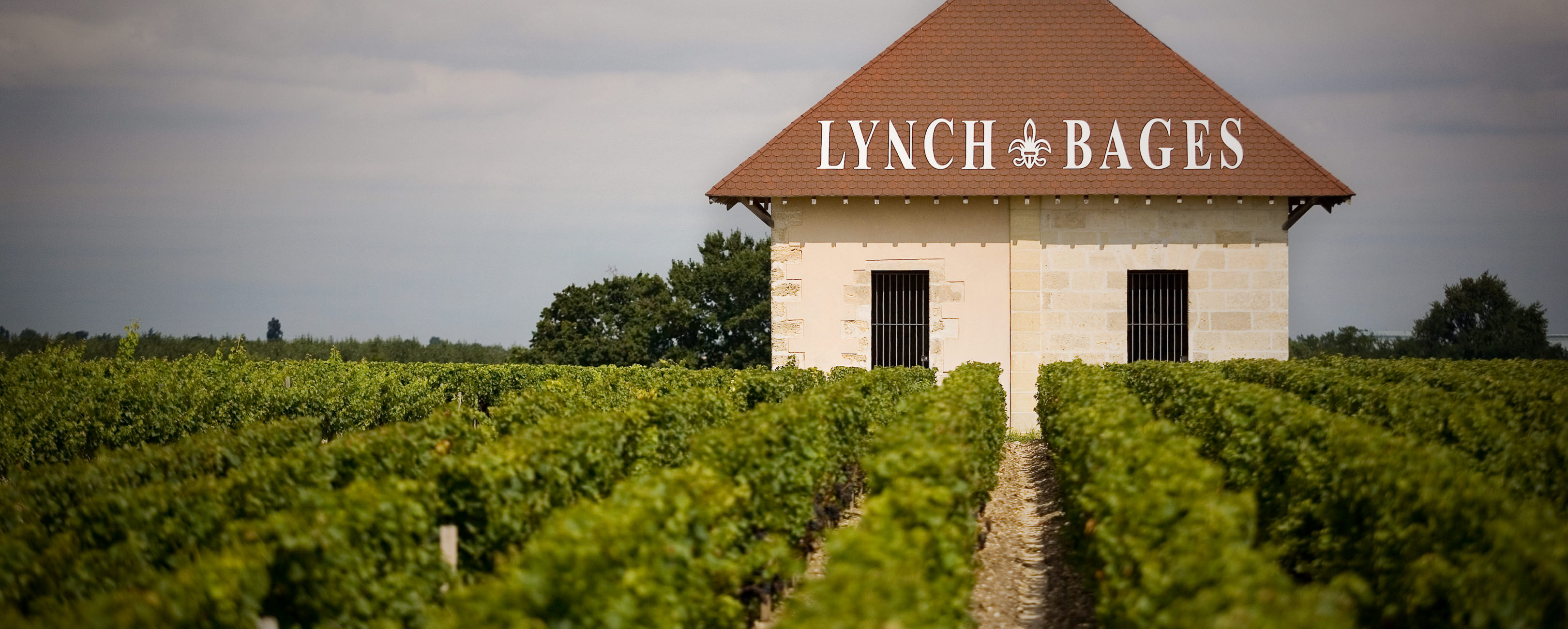 Château Lynch-Bages — photo 8