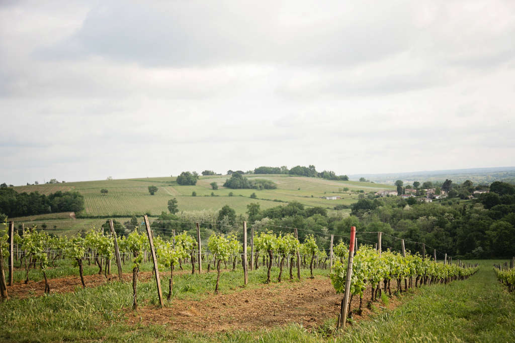 Vignobles à Haute Valeur Environnementale