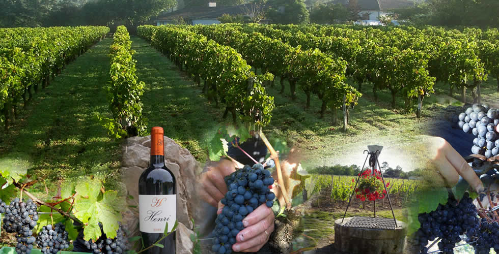 Domaine du Tasta