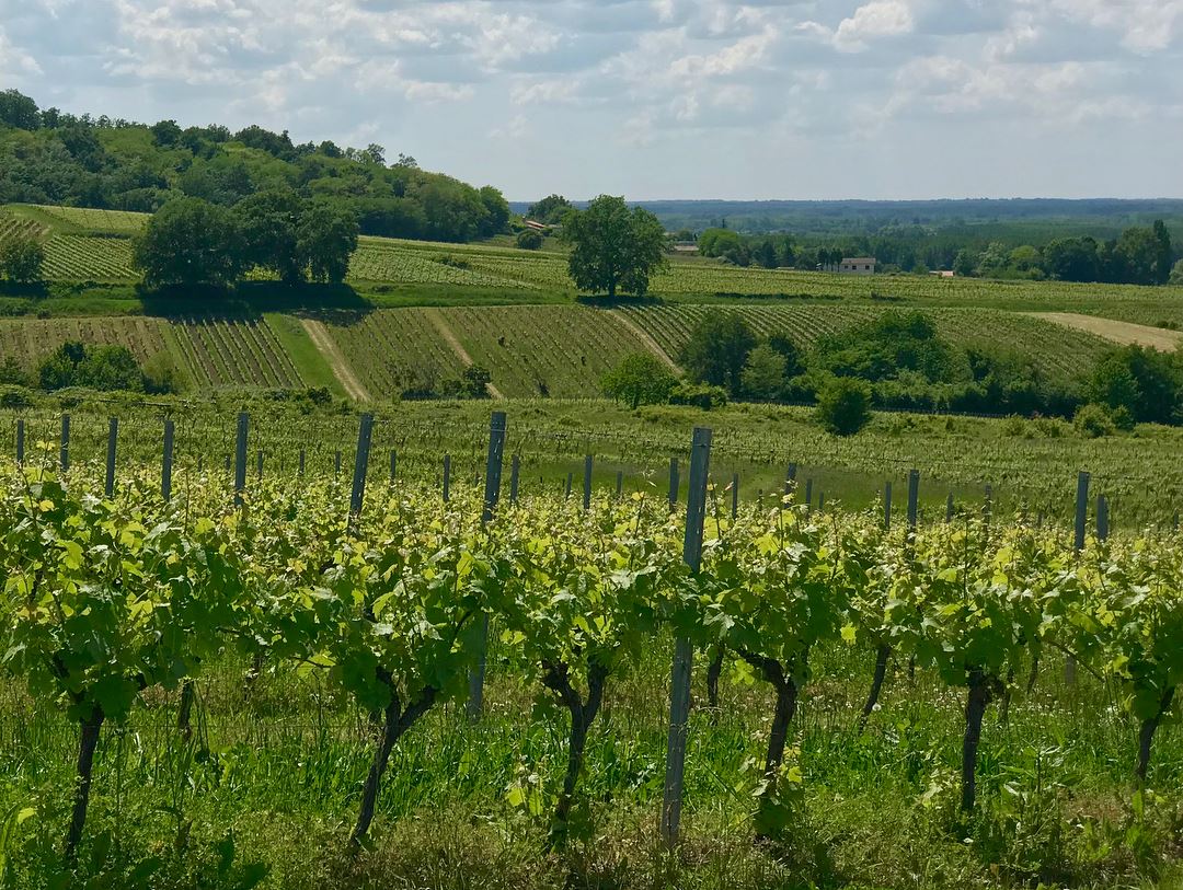 Château Mazarin
