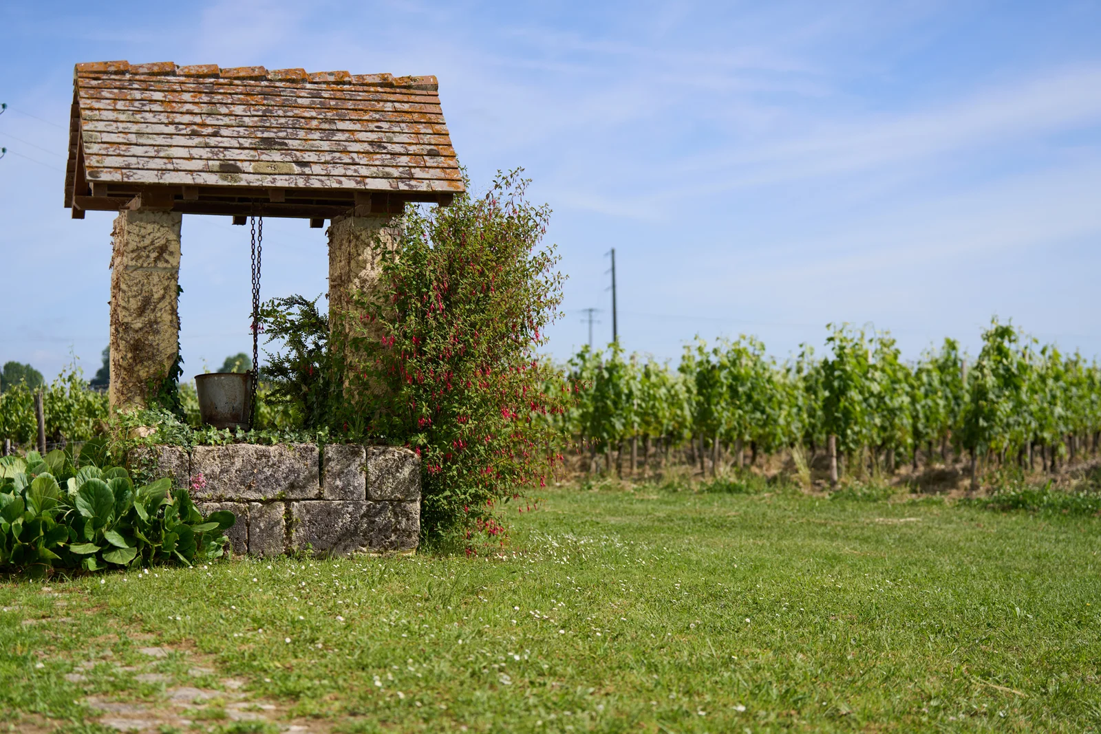 Persévérance et sensibilité - Château Haut Segottes