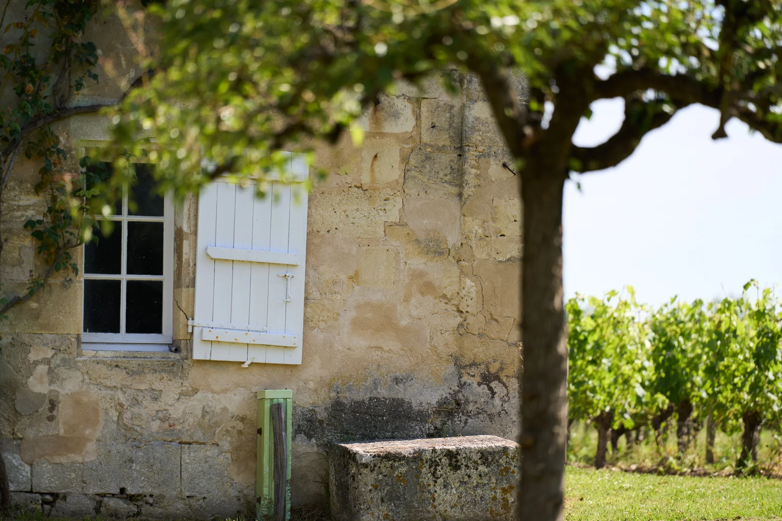 Château Haut Segottes — photo 9