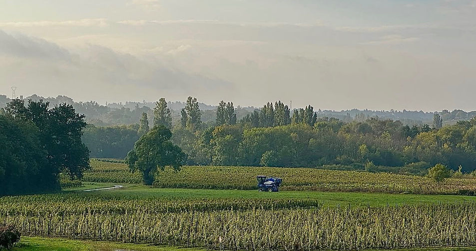 Château de Brague