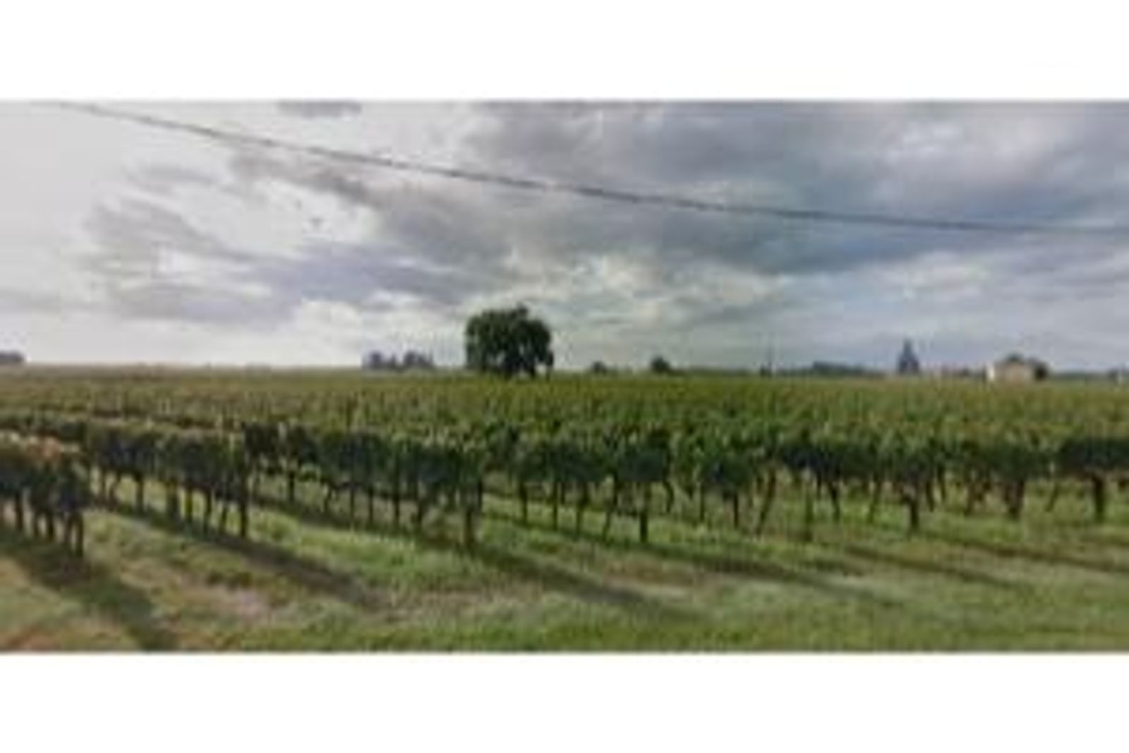 Château l'Enclos Pomerol — photo 3