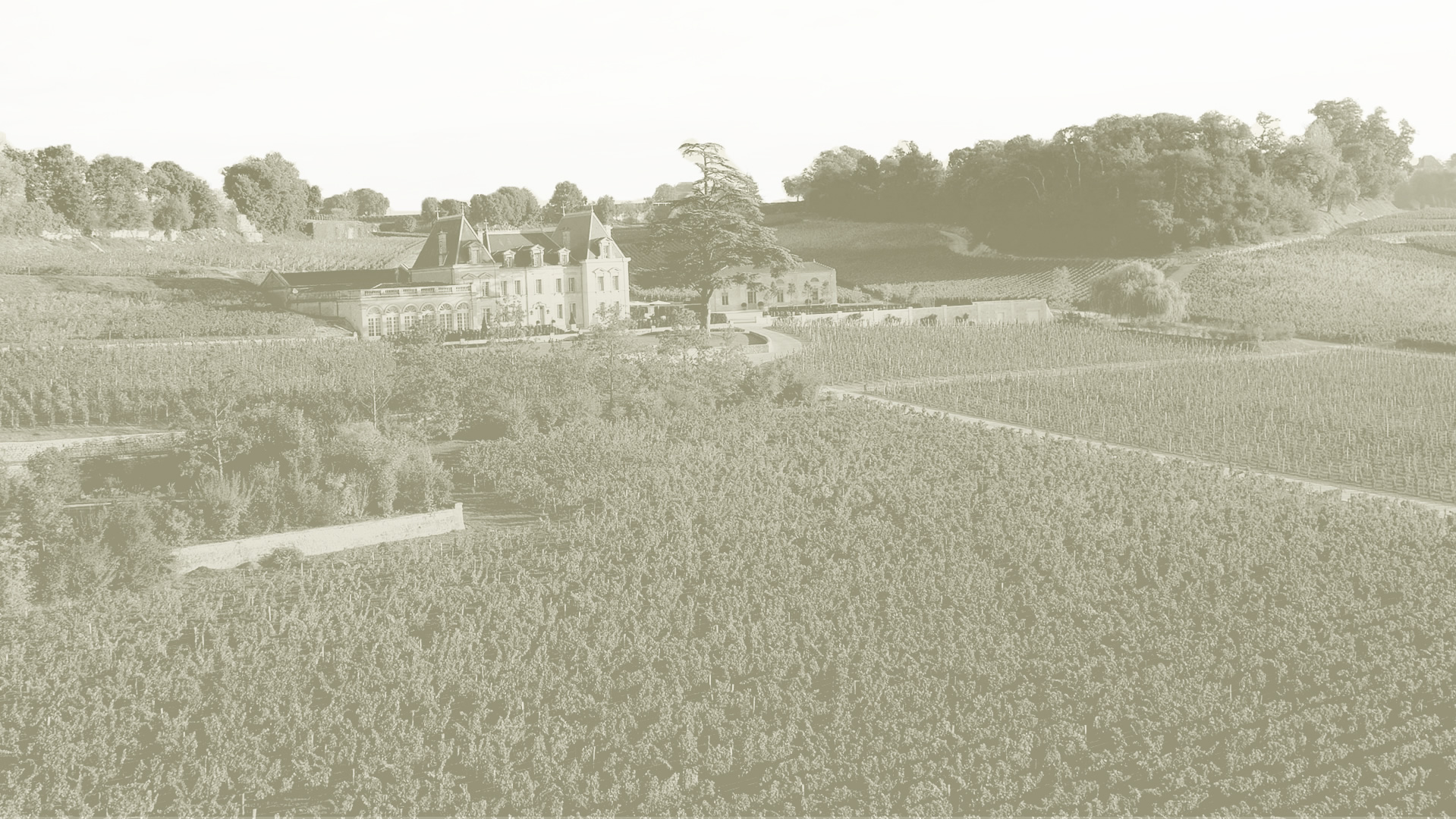 Château l'Enclos Pomerol - Pomerol