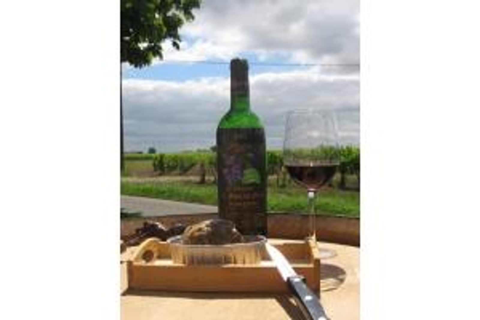 Château l'Enclos Pomerol — photo 2